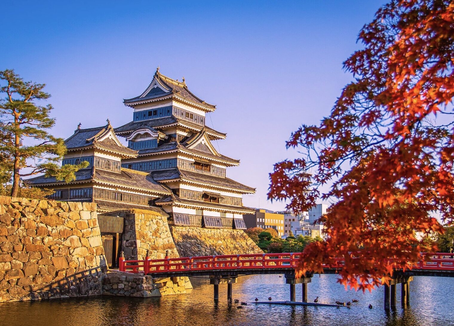 松本城は、国宝に指定されている城の一つで、姫路城、彦根城、犬山城、松江城とともに称されています。築造は文禄2～3年（1593～4年）とされ、五重六階の天守は日本最古のものです。戦国時代に始まり、永正年間に造られた深志城が基盤で、後に松本城へと発展しました。小笠原氏の信濃府中の館が東山麓へ移転し、城と支城が築かれました。天正10年（1582年）に小笠原貞慶が深志城を回復し、天正18年（1590年）には石川数正・康長父子が城主となり、城と城下町の整備が進みました。市のシンボルとして、歴史の中で市民の情熱に支えられてきた松本城は、松本の誇りであり、重要な文化遺産です。